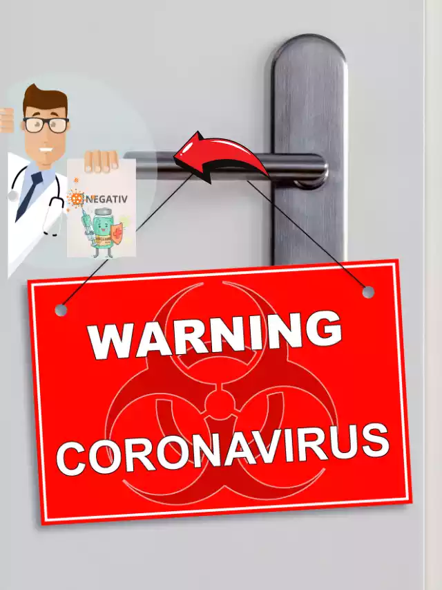 Coronavirus 2.0: New Bat Virus in China May Infect Humans News today