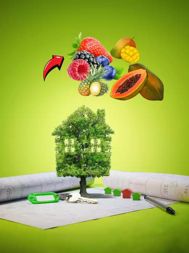 real fruit